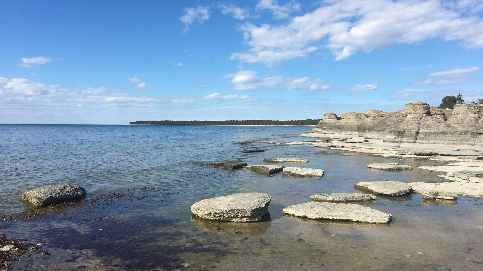 A photo taken at Byrums Raukar on the island Öland.