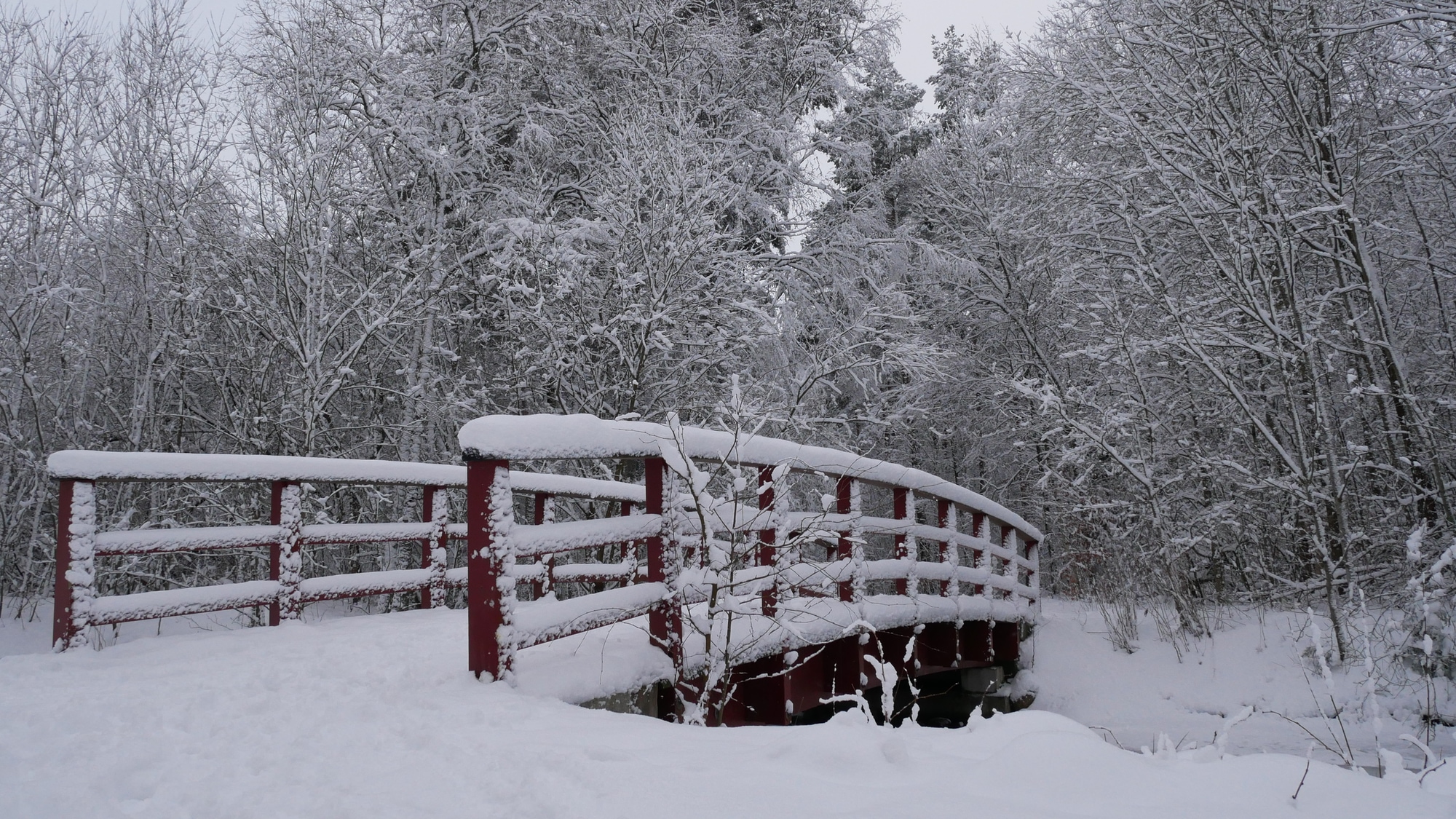 A photo taken at Bokhultets Naturreservat in Växjö.