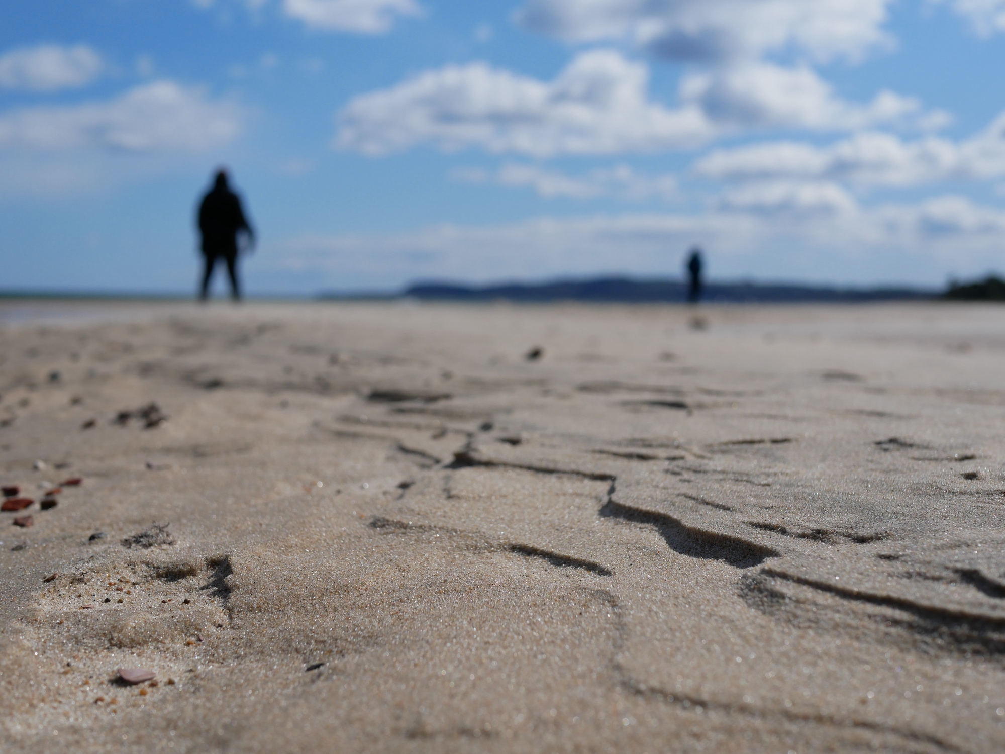 A photo taken at Sandhammaren in Skåne.