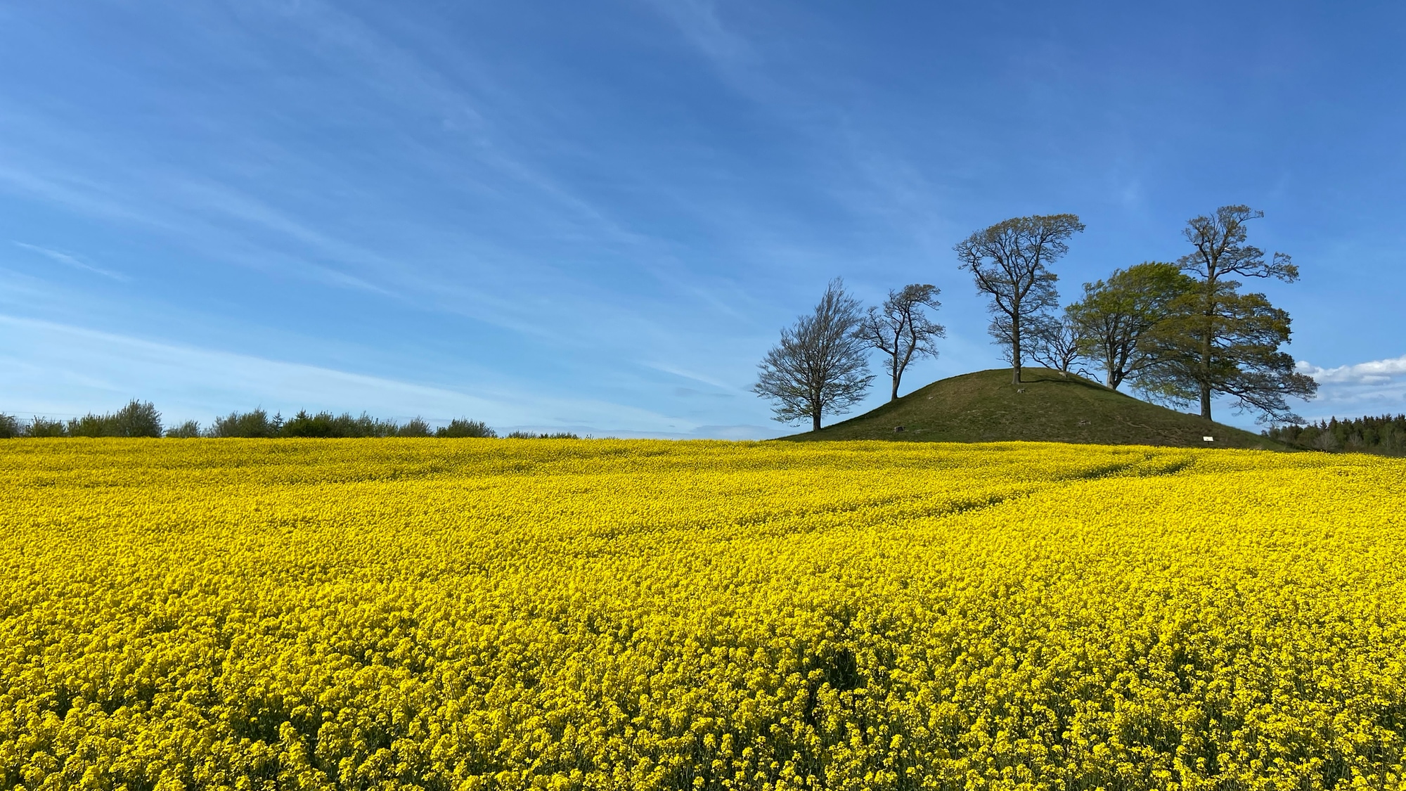 A photo taken outside Halmstad.