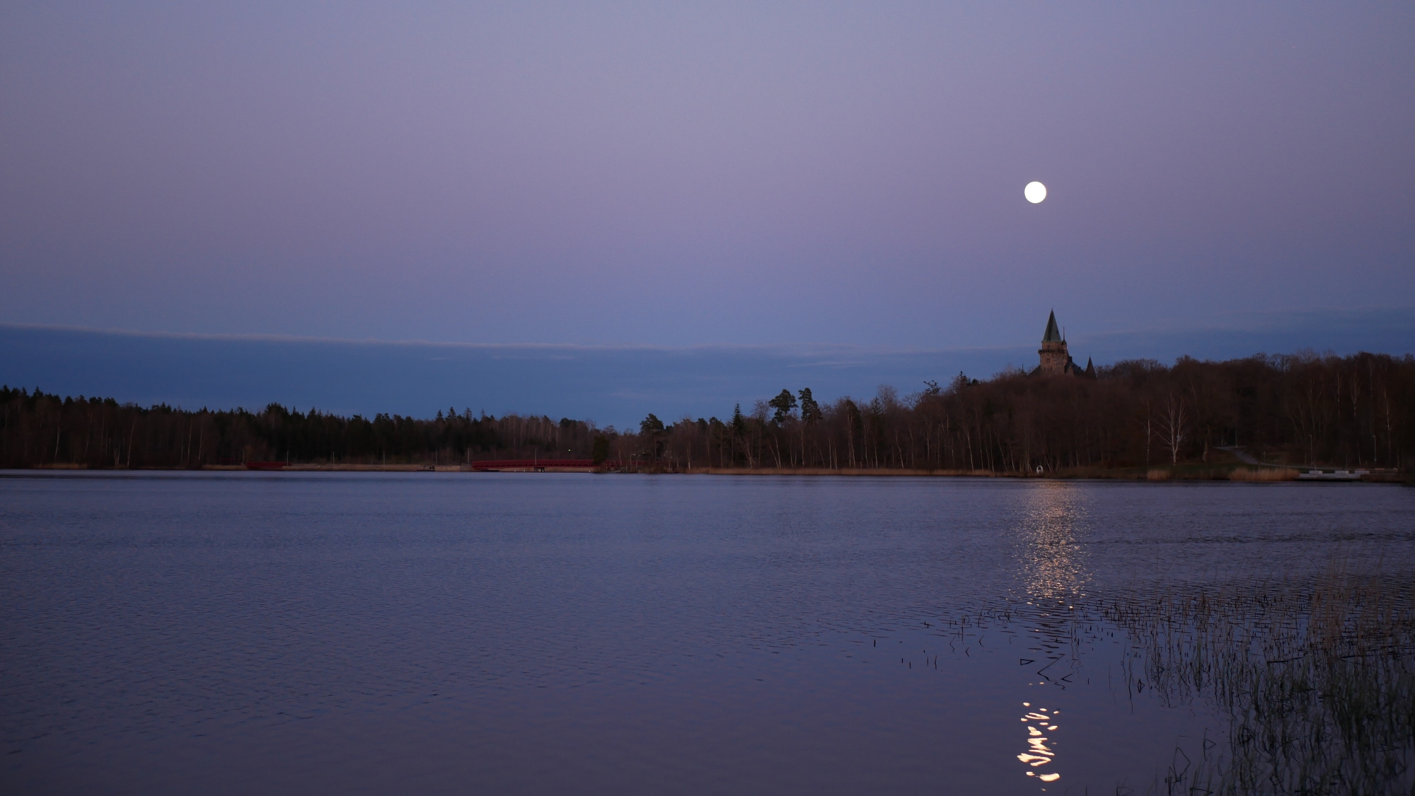 A photo taken at the lake Trummen in Växjö.
