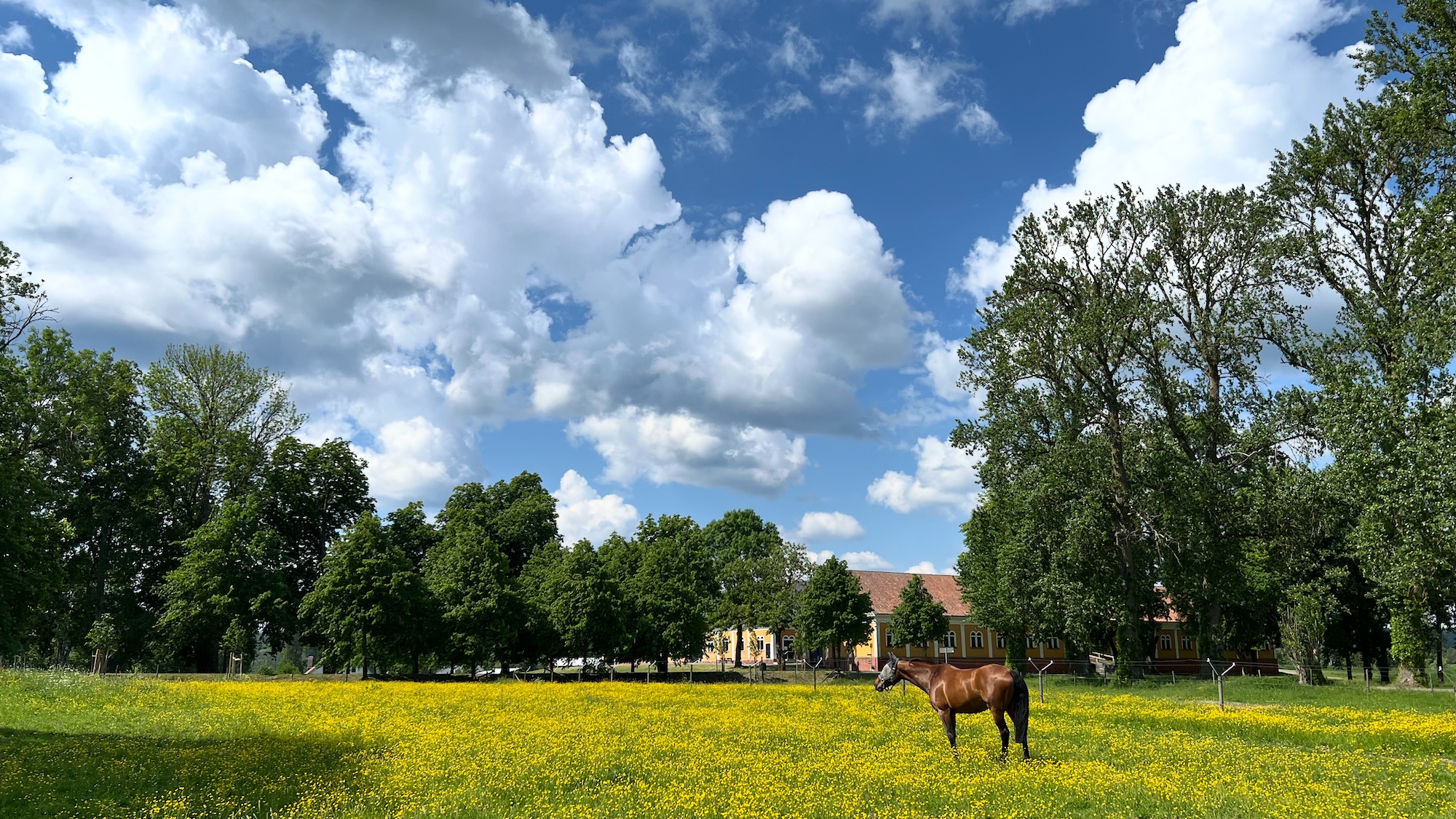 A photo taken at Grensholm in Norrköpings kommun.