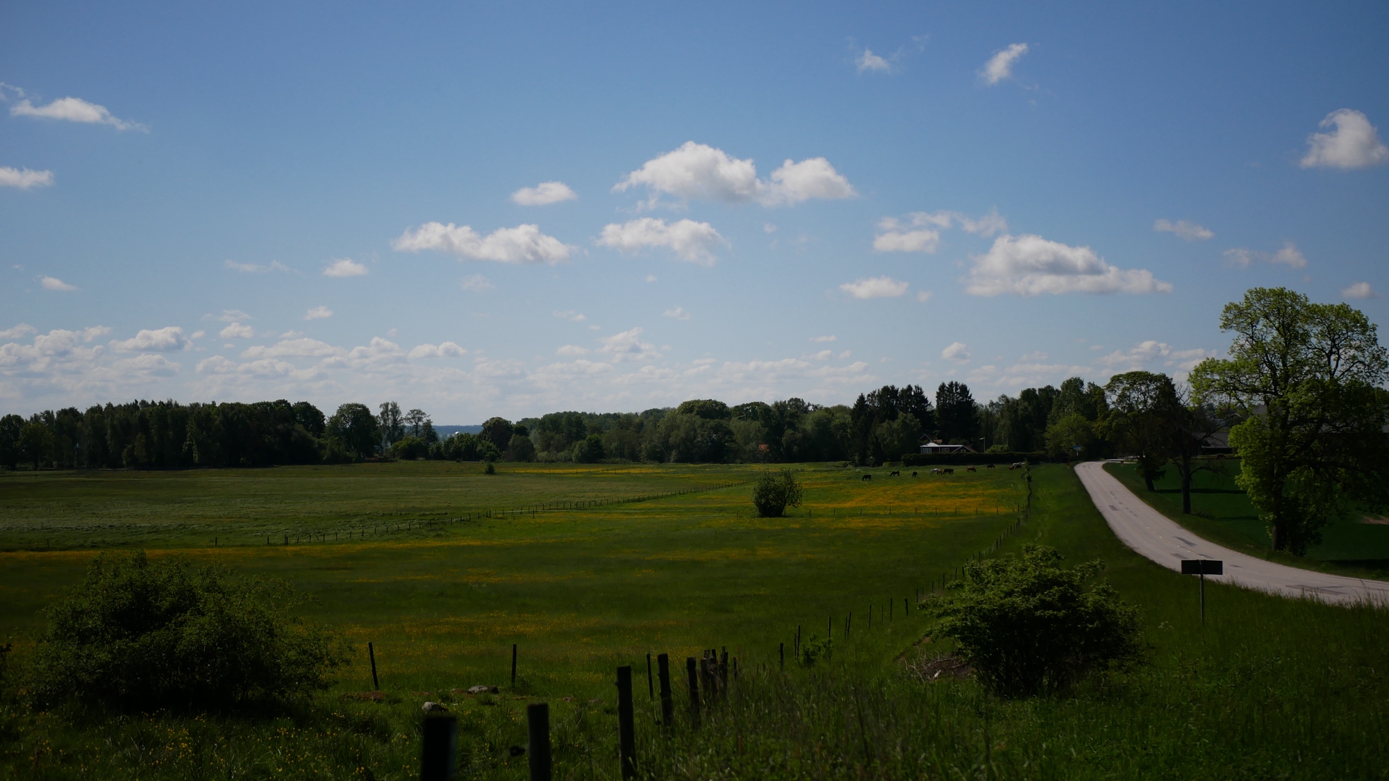 A photo taken at Kungsbro Naturreservat in Linköpings kommun.