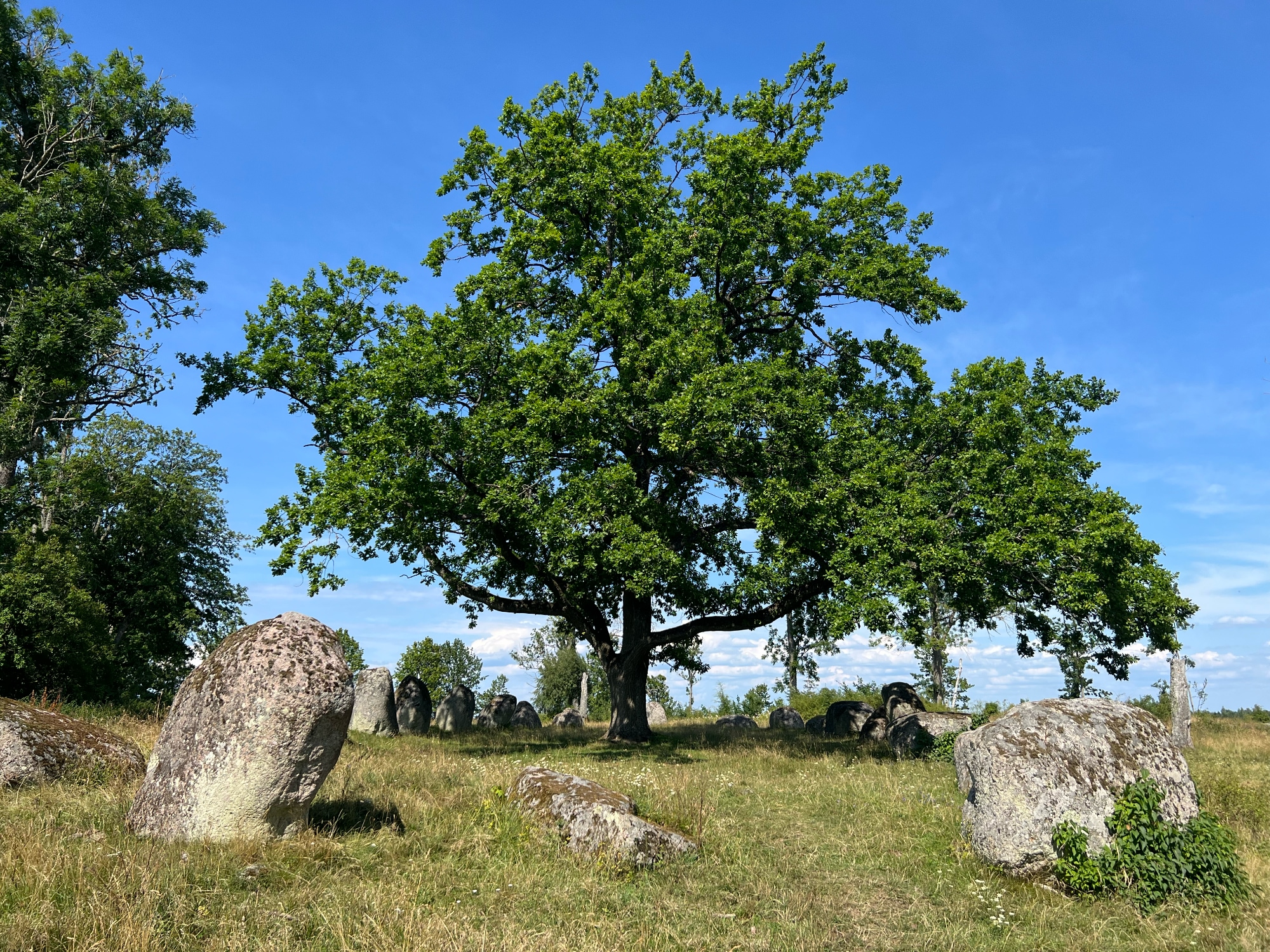 A photo taken at Nässja Domarring near Nässja along Pilgrimsrundan.