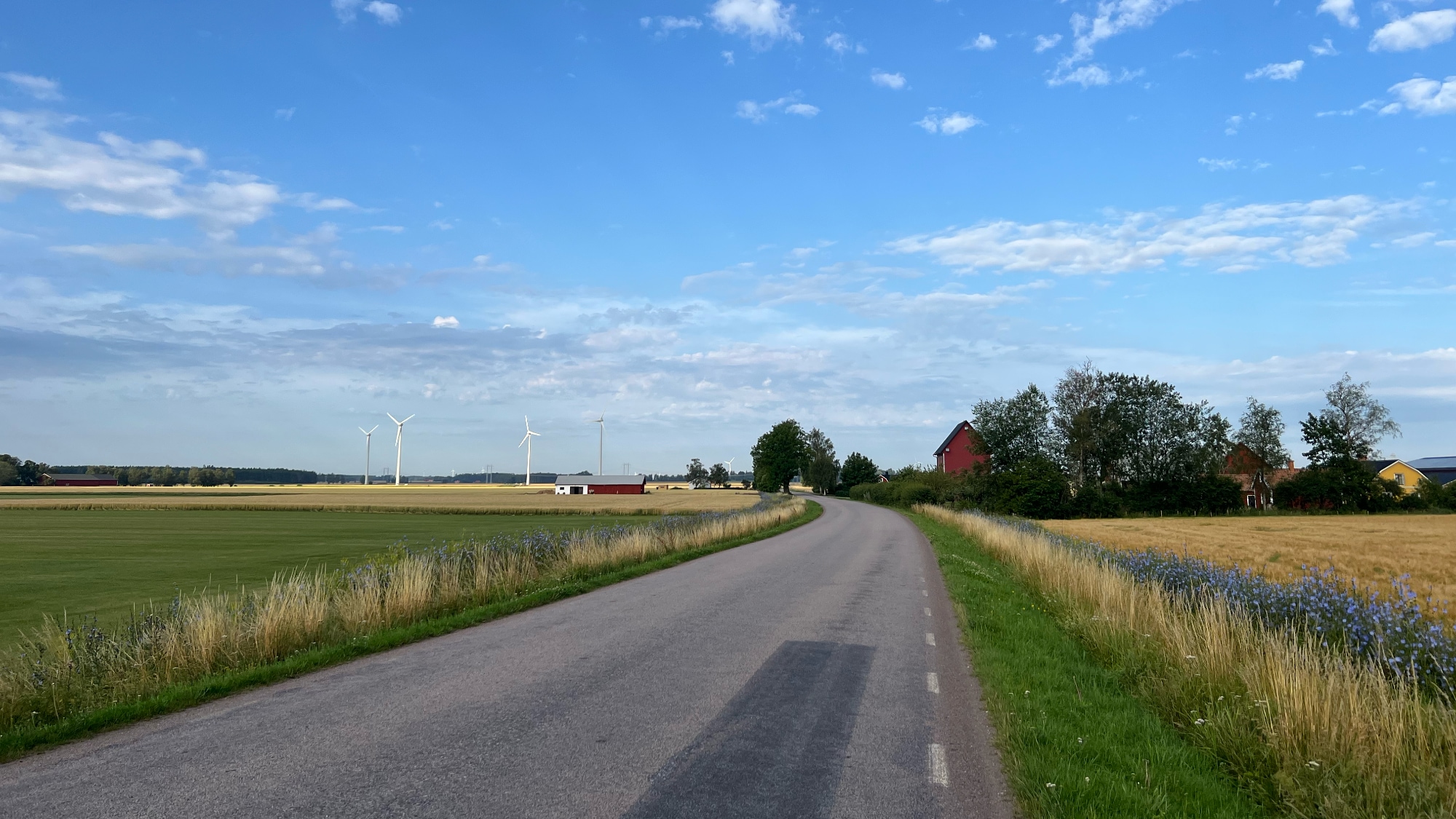 A photo taken near Skänninge along Pilgrimsrundan.