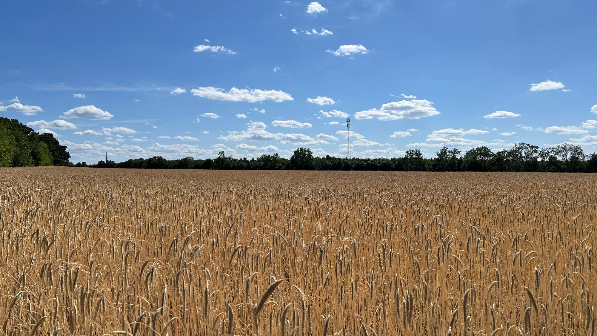 A photo taken in Wildau.