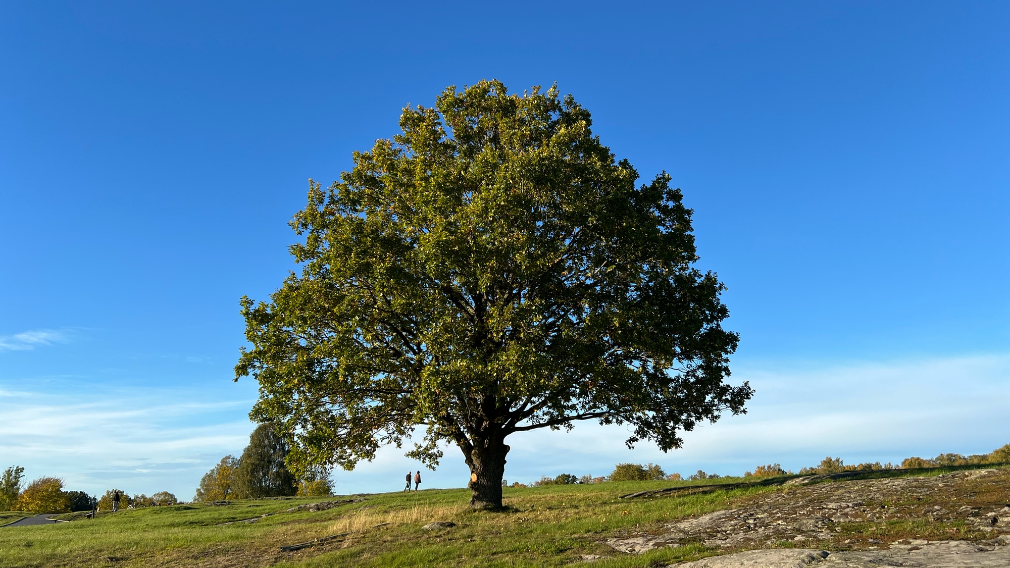 A photo taken at Himmelstalundsparken in in Norrköping.