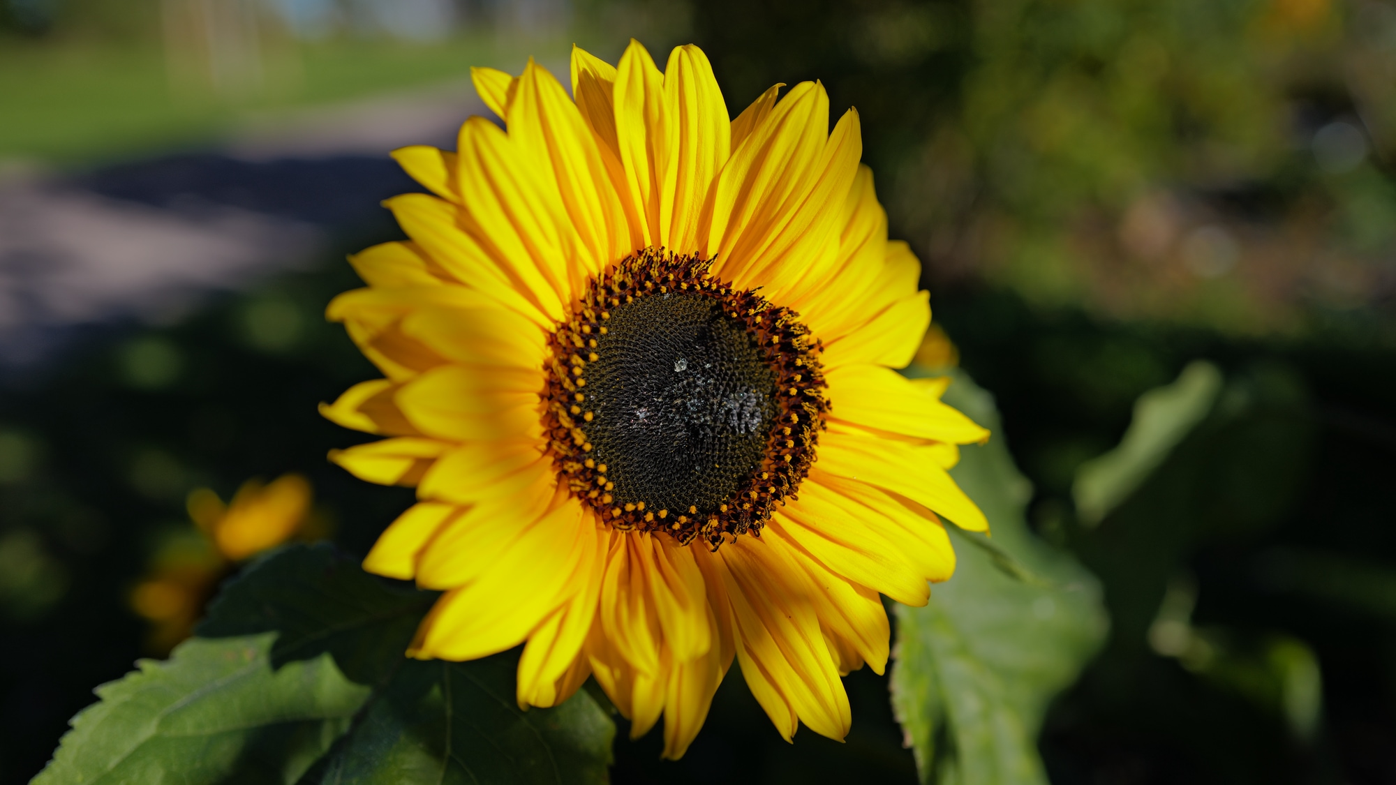 A photo taken at Standpromenaden in Vadstena.