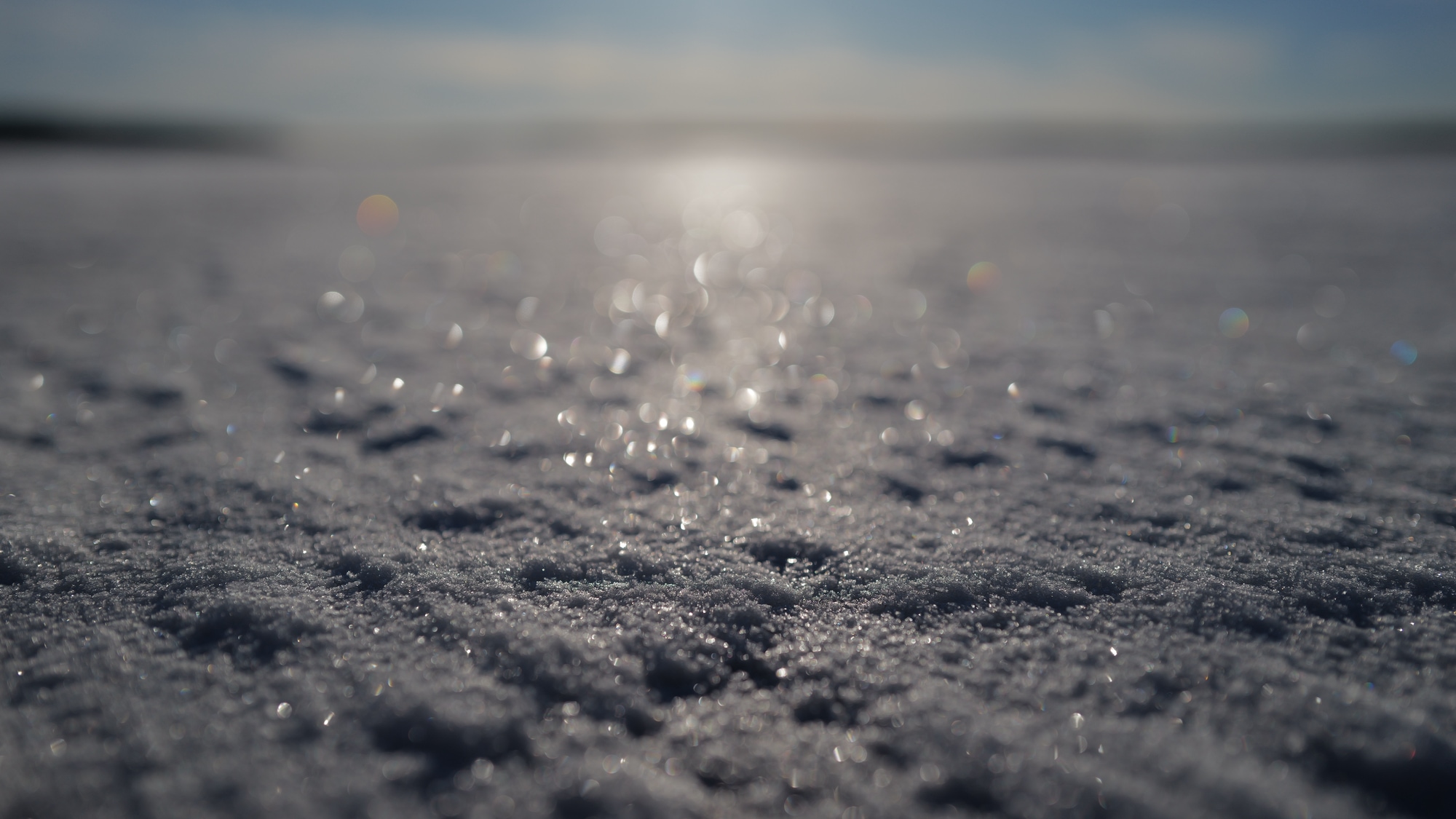 A photo taken at Artipelag in Stockholms skärgård.