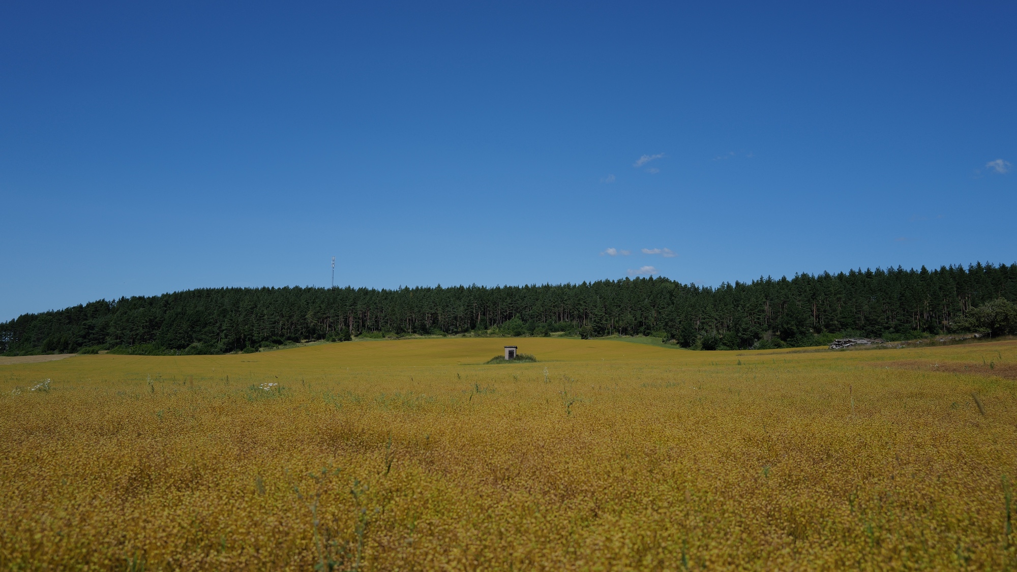 A photo taken near Kuddby in Vikbolandet.